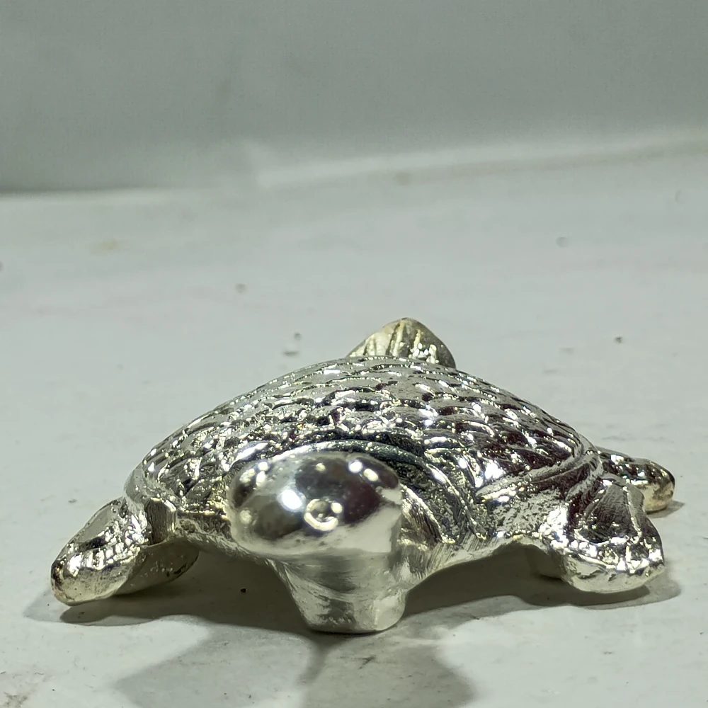 Tortoise-3.5No-Z12286