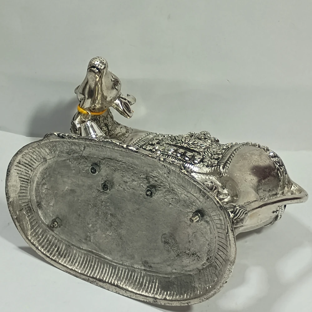 CowCalf-6.5No-Z12474