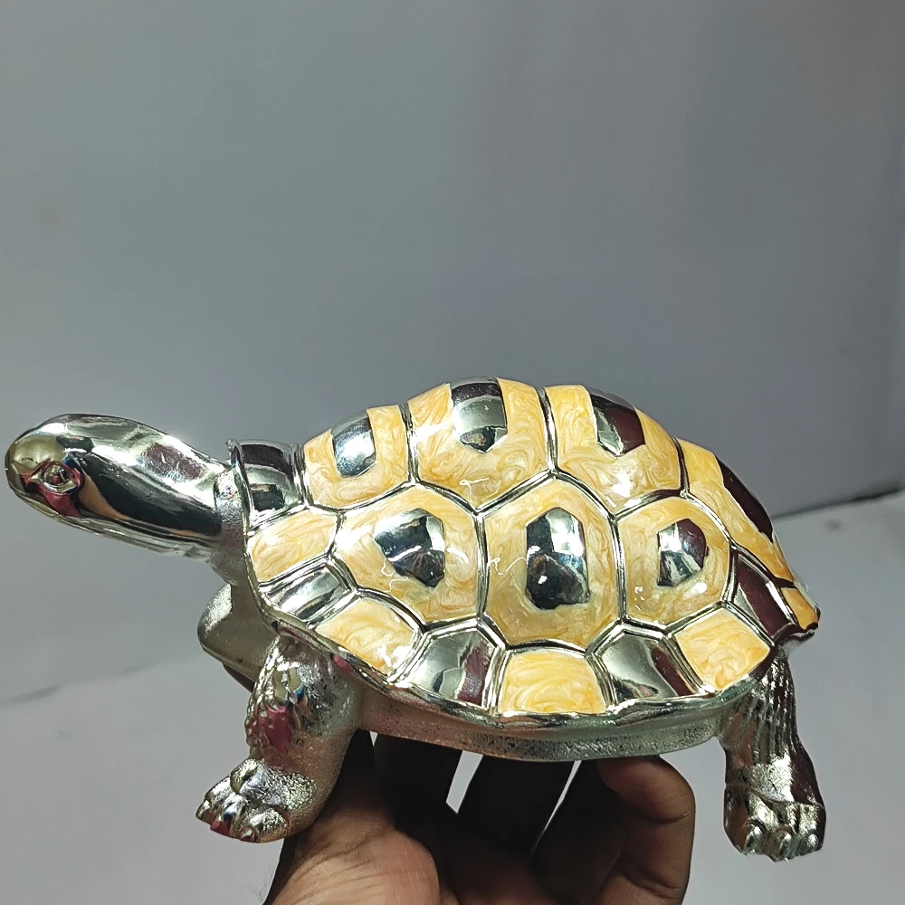 Tortoise-3No-Z13116