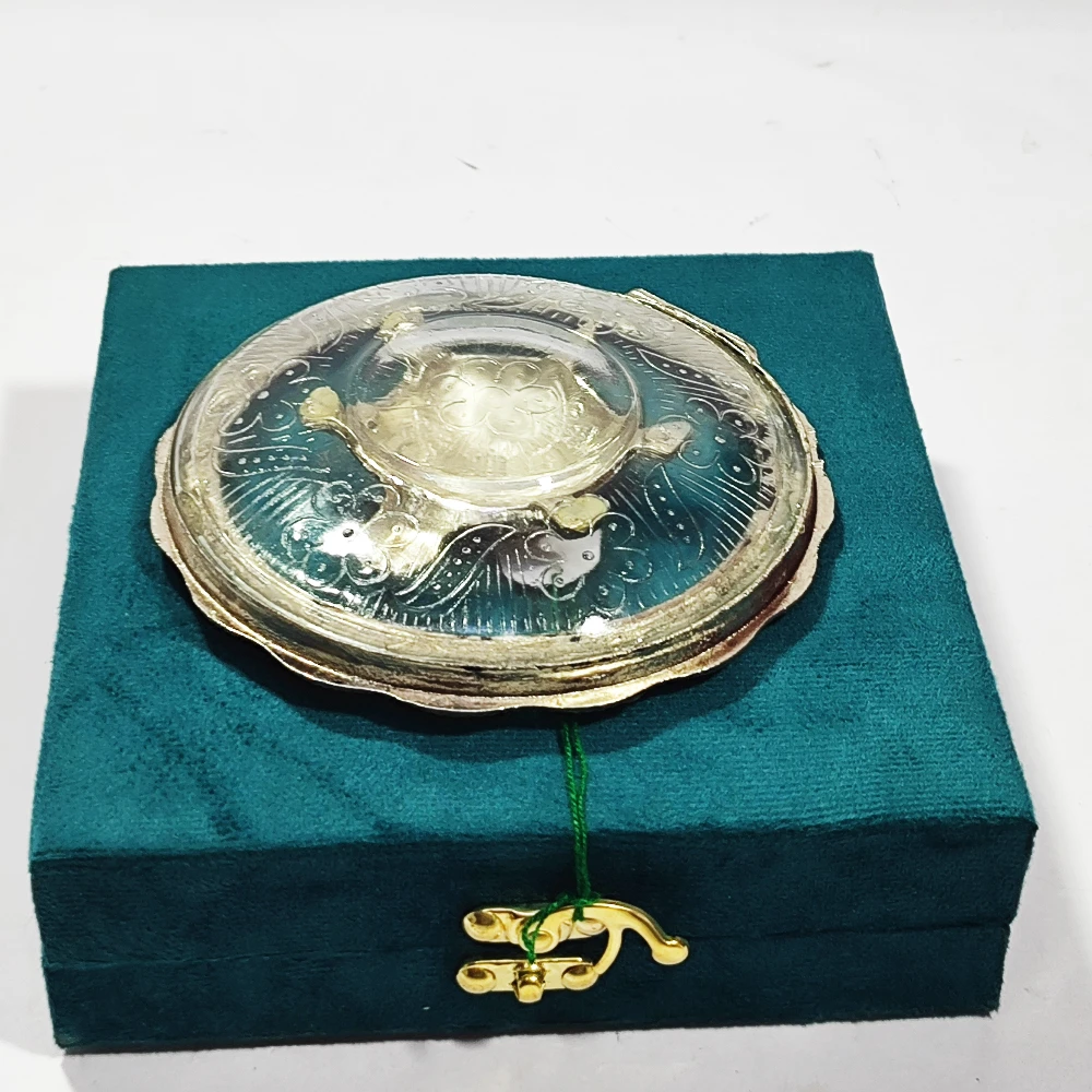 Tortoise  With Plate-5.5No-Z03987