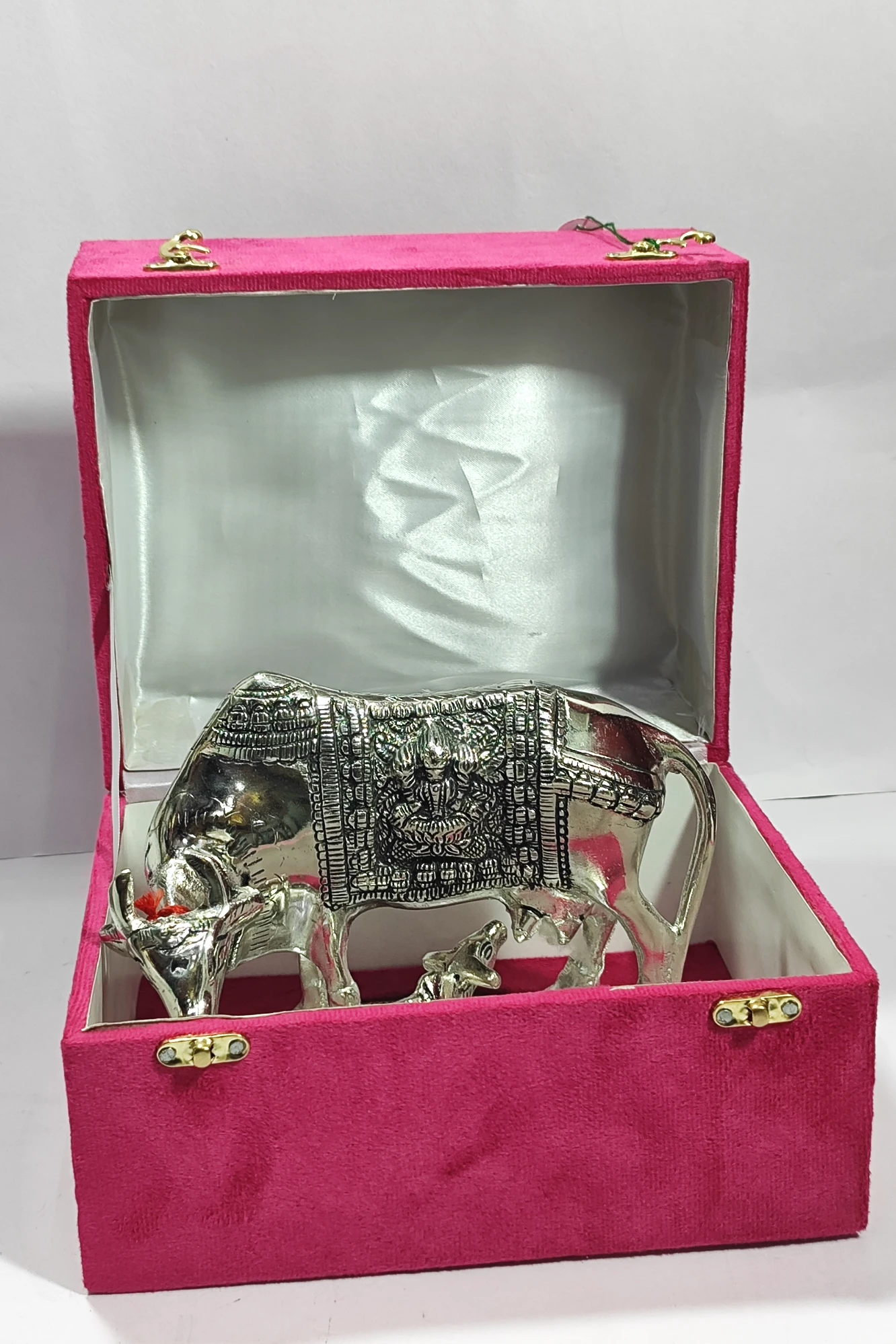 CowCalf-7.5No-Z04469