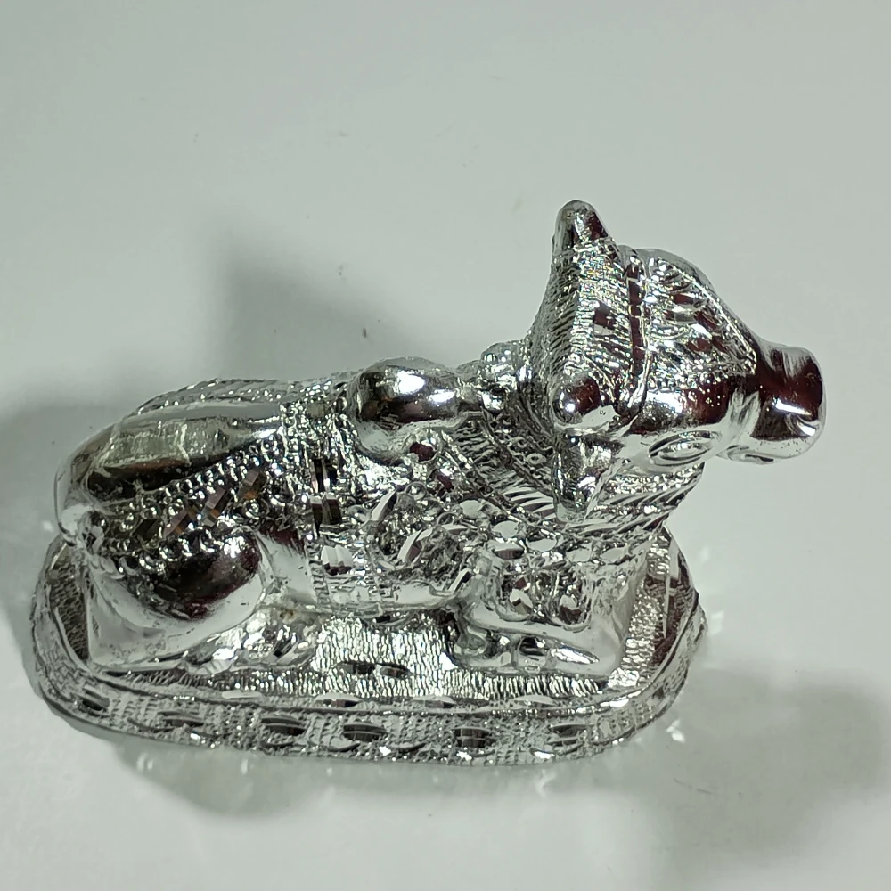 Nandi-6NoZ09913