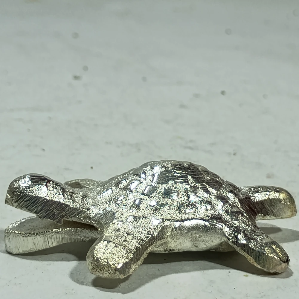 Tortoise-2.5No-Z12287