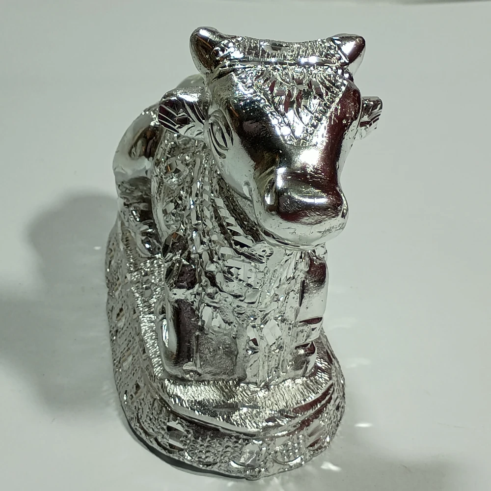 Nandi-6NoZ09913