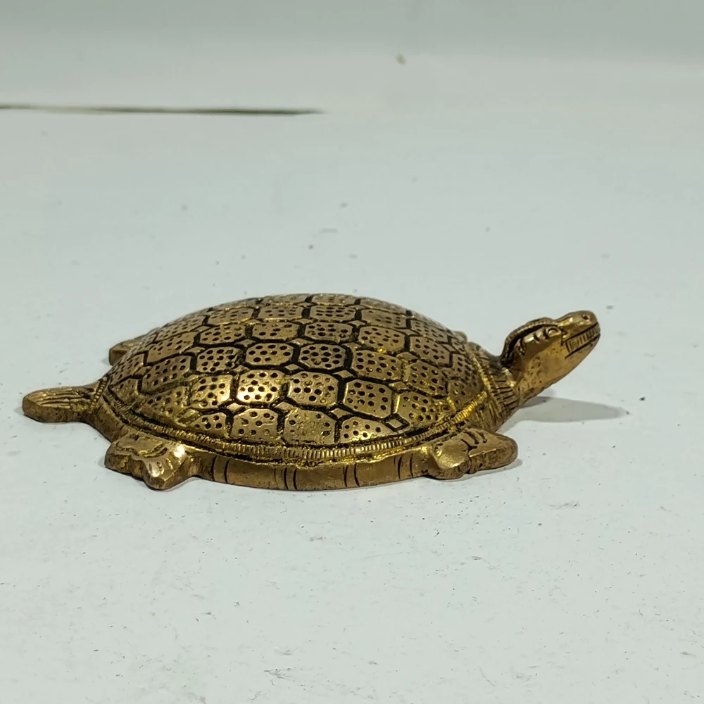 Tortoise-4No-Z08157