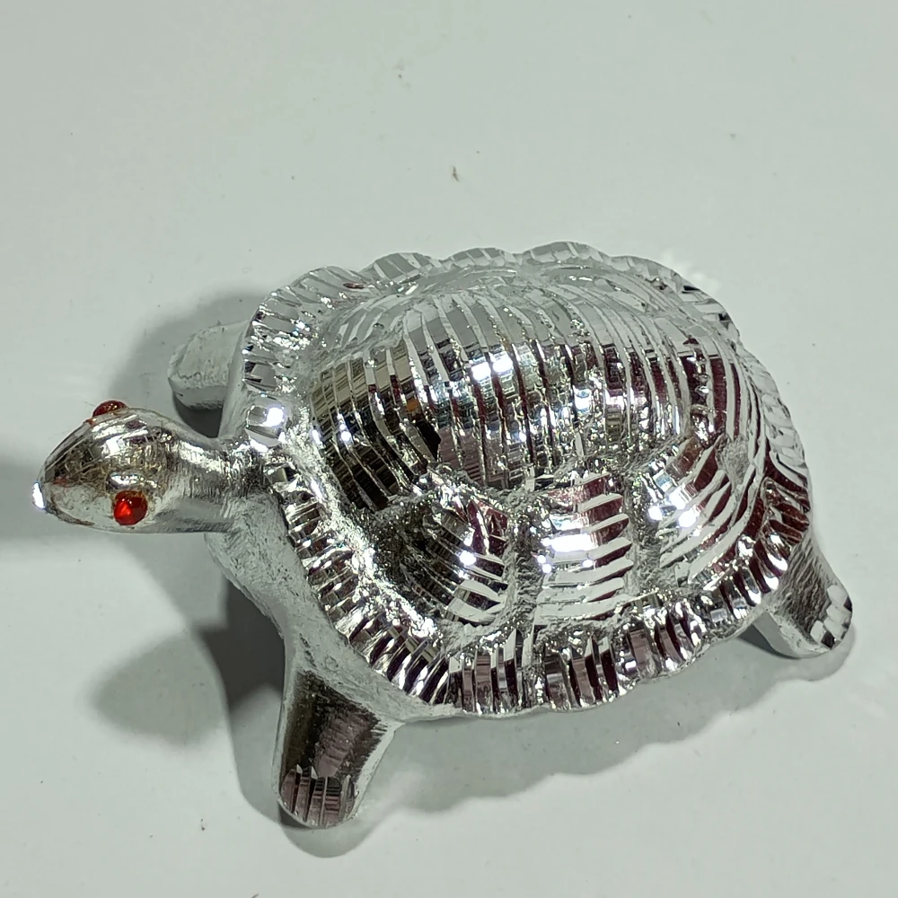 Tortoise-1No-Z06613