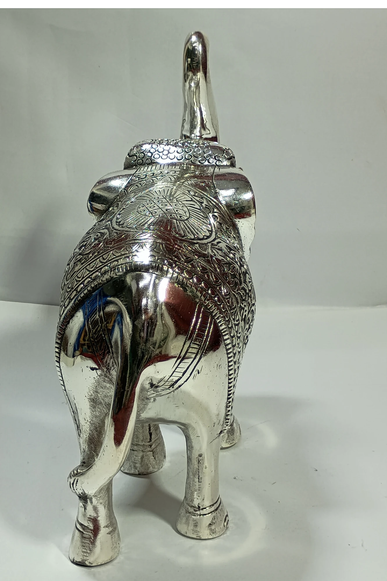 Elephant-11.5No-Z02550