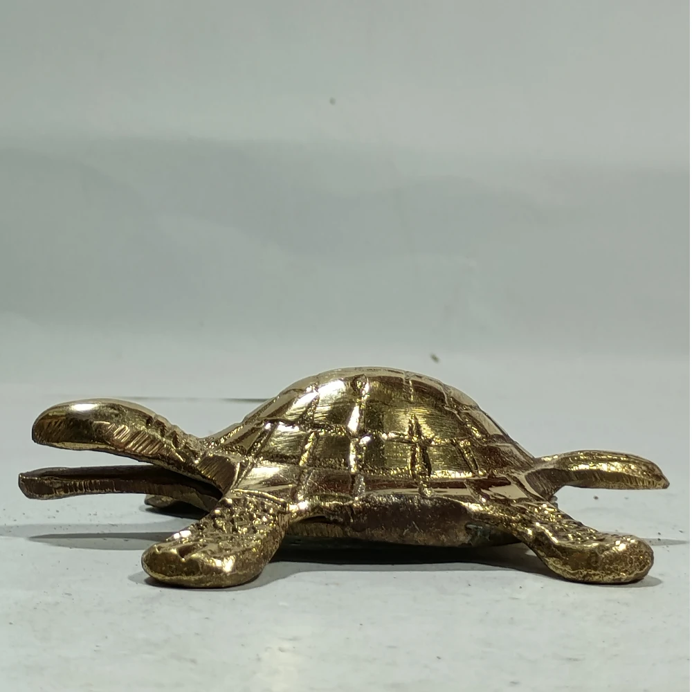 Tortoise-1.5No-Z07769