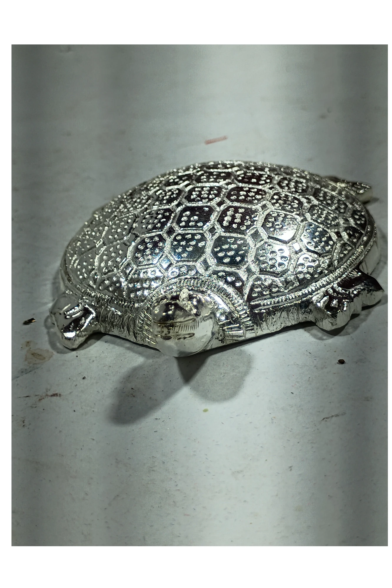 Tortoise-4No-Z12283