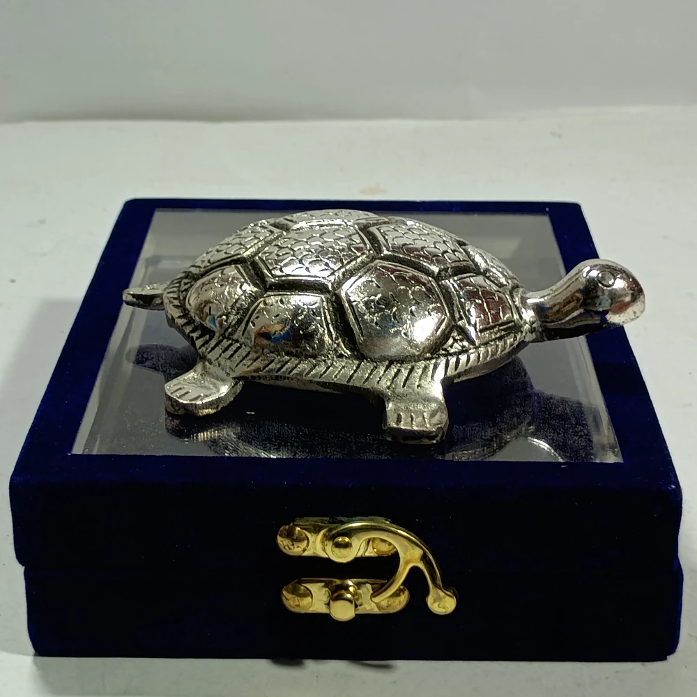 Tortoise-5No-Z04584