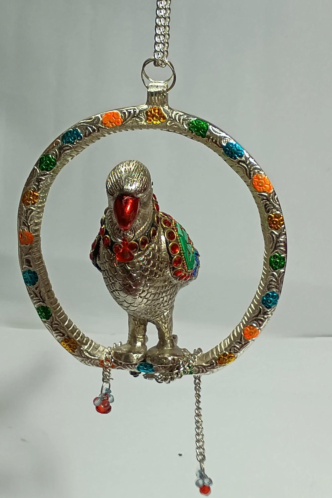 Parrot-11No-Z11562