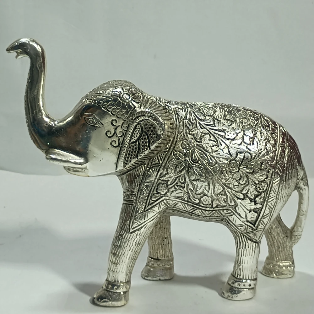 Elephant-6No-Z12547
