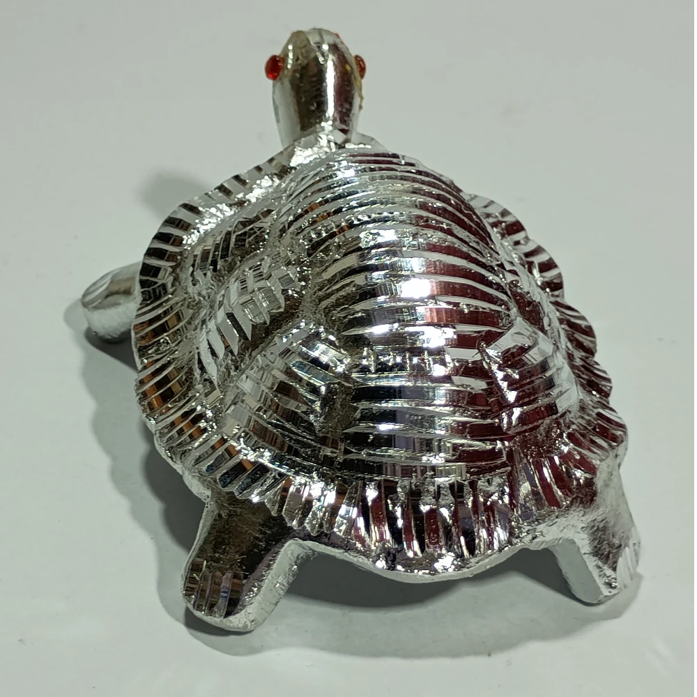 Tortoise-1No-Z06613