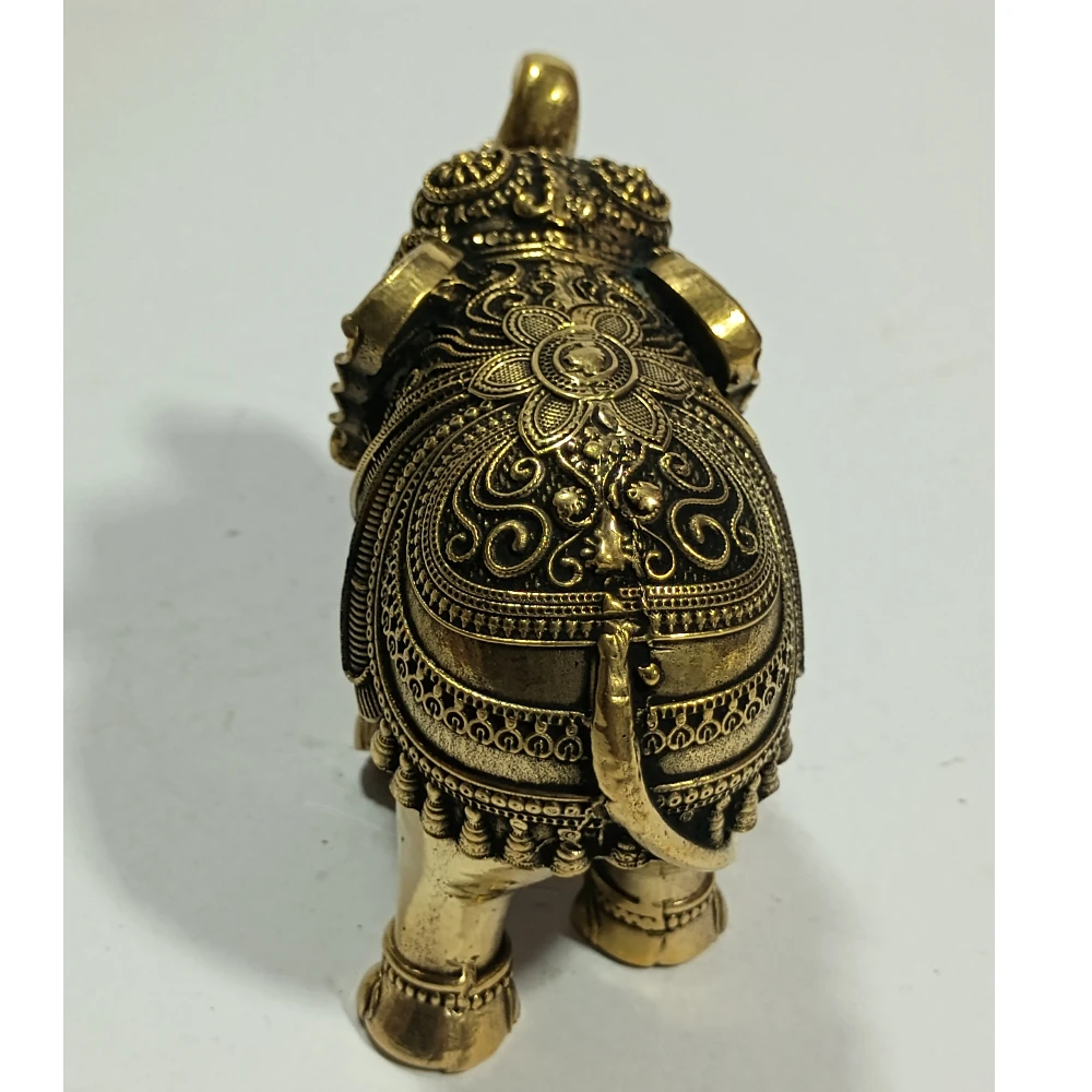 Elephant-3No-Z11389