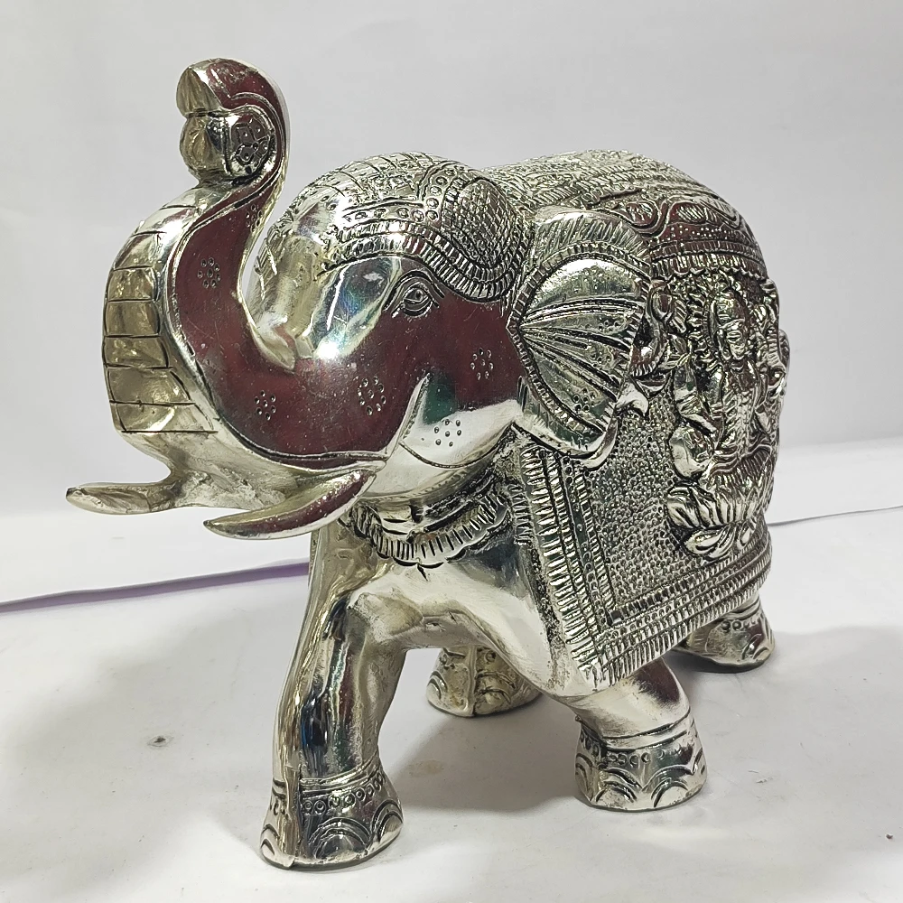 Elephant-8No-Z12926