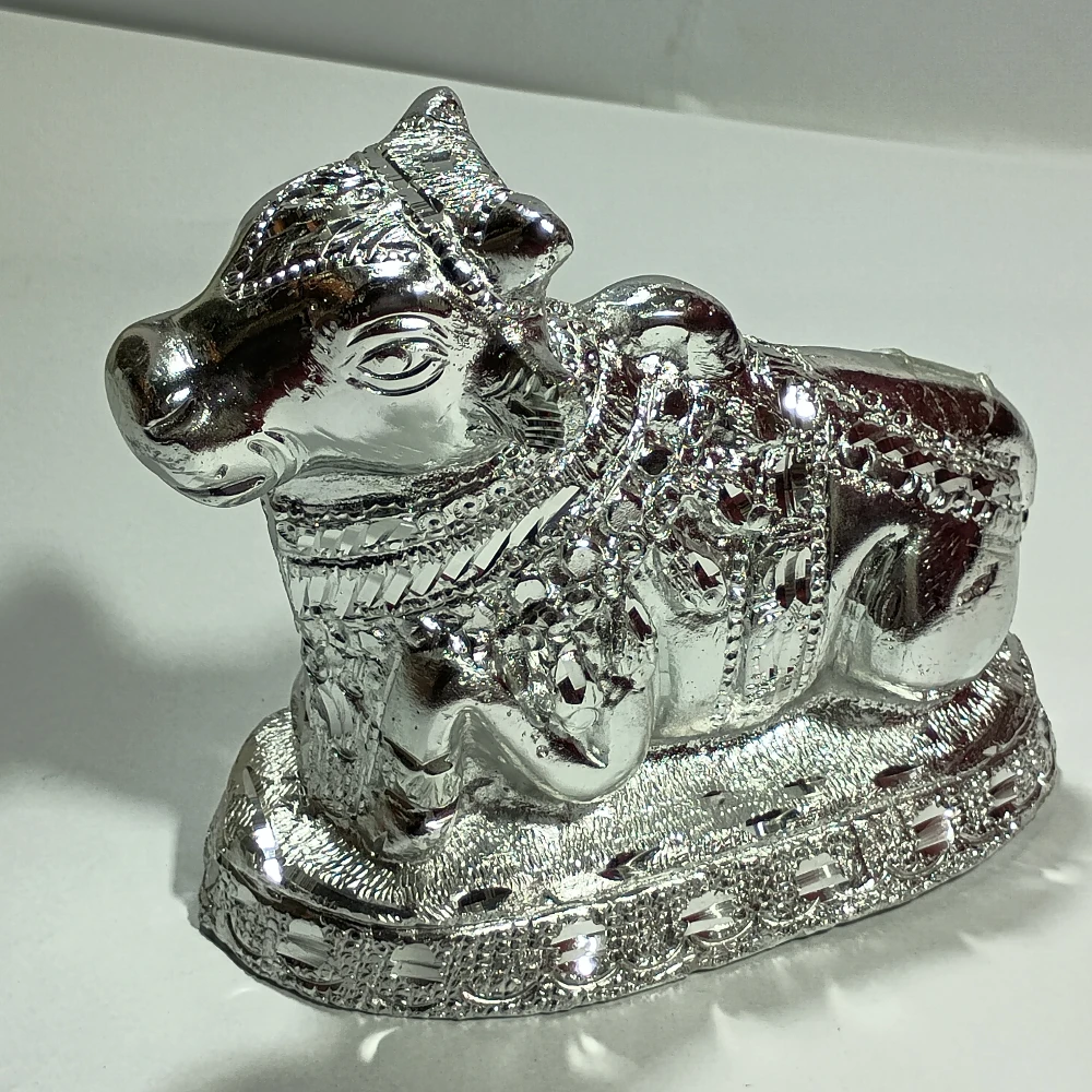 Nandi-6NoZ09913
