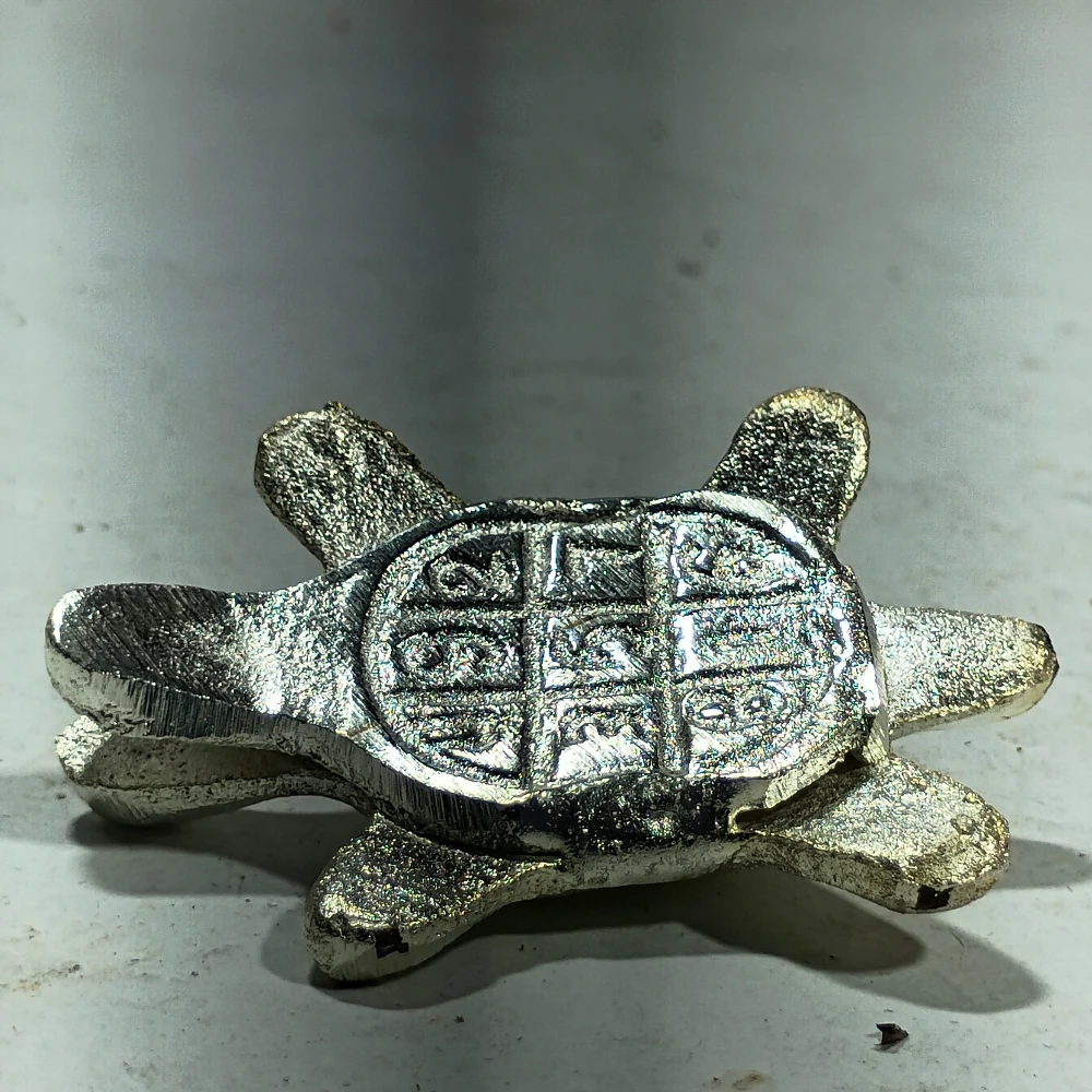 Tortoise-2.5No-Z12287