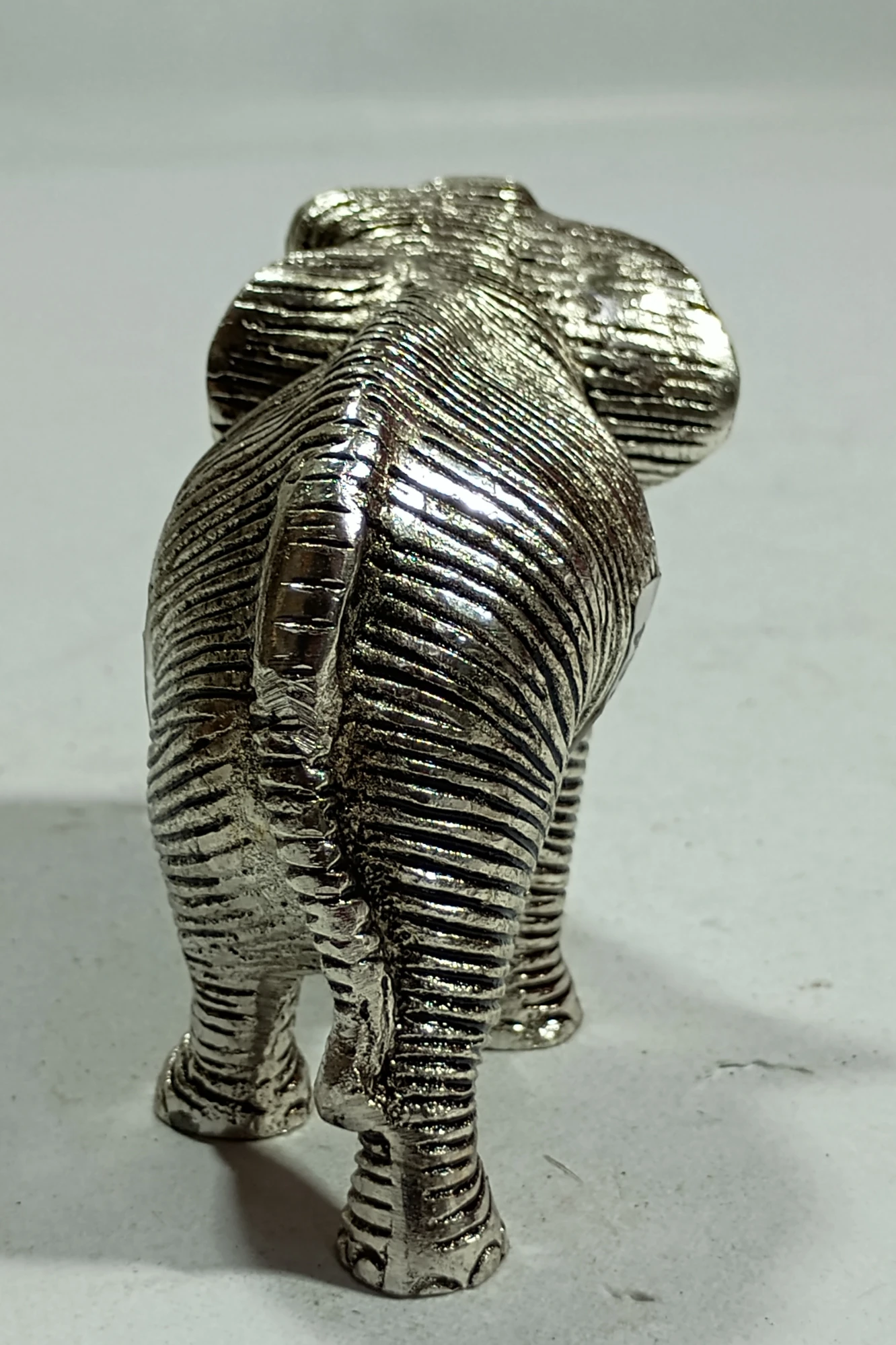 Elephant-3No-Z12164