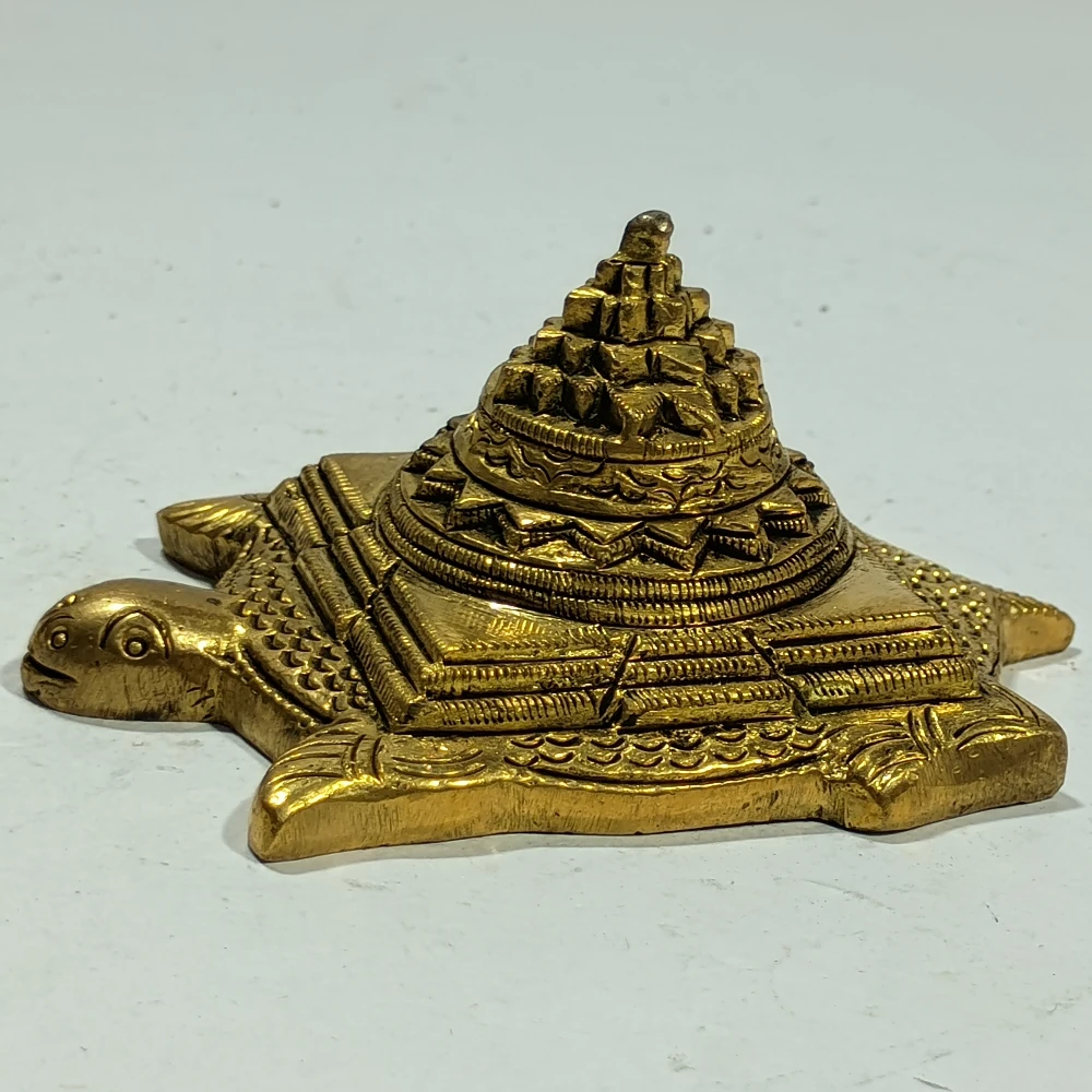 Tortoise-1.5No-Z11456