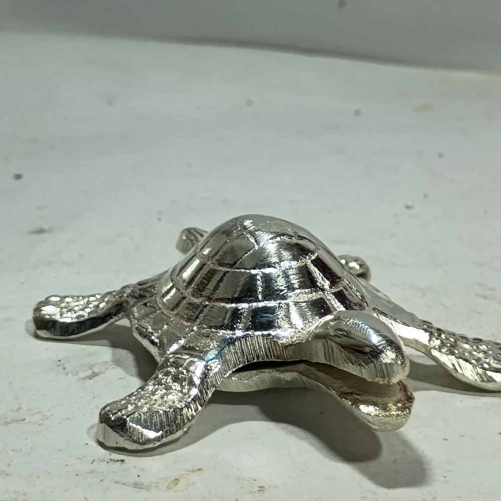 Tortoise-4No-Z12284