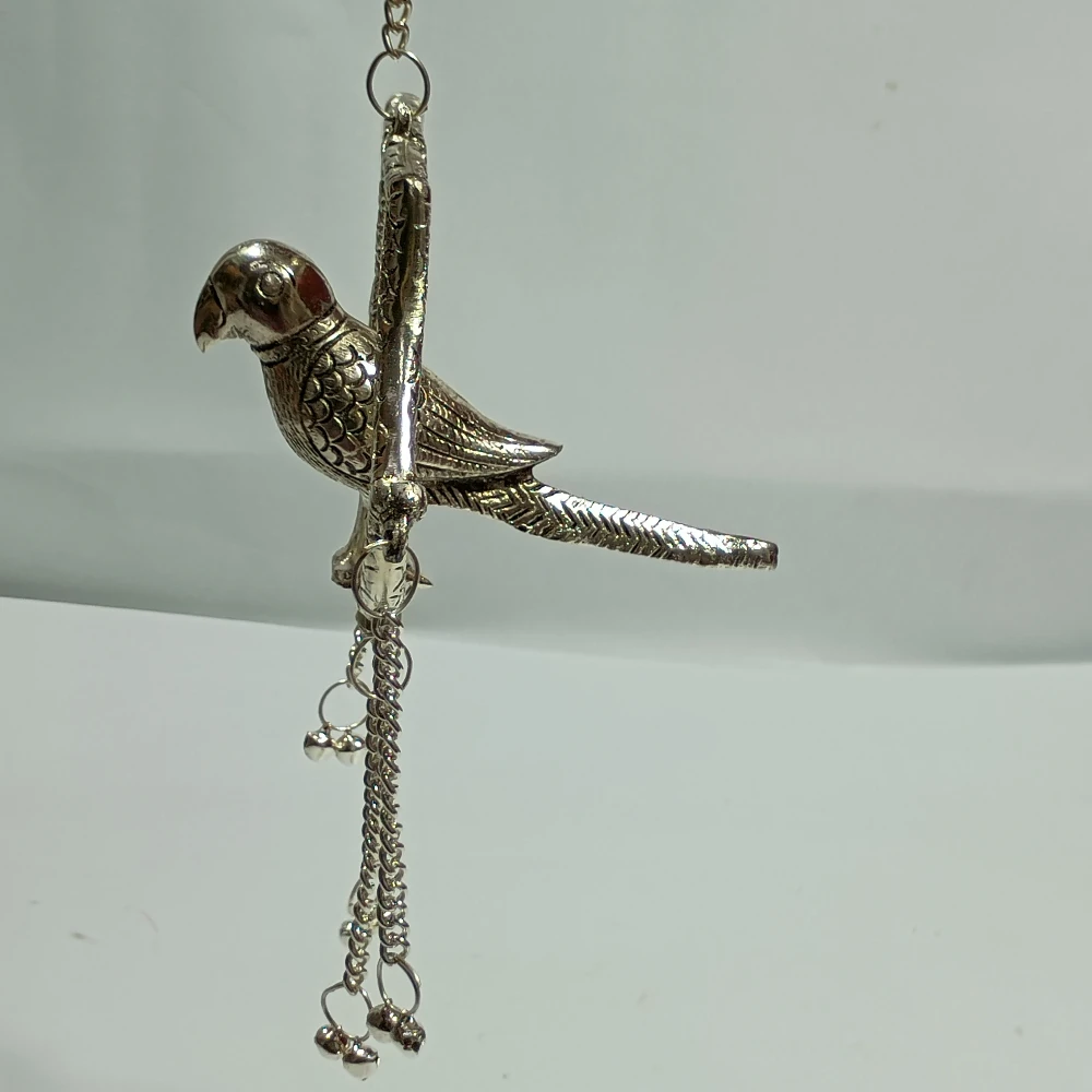 Parrot-5No-Z12078
