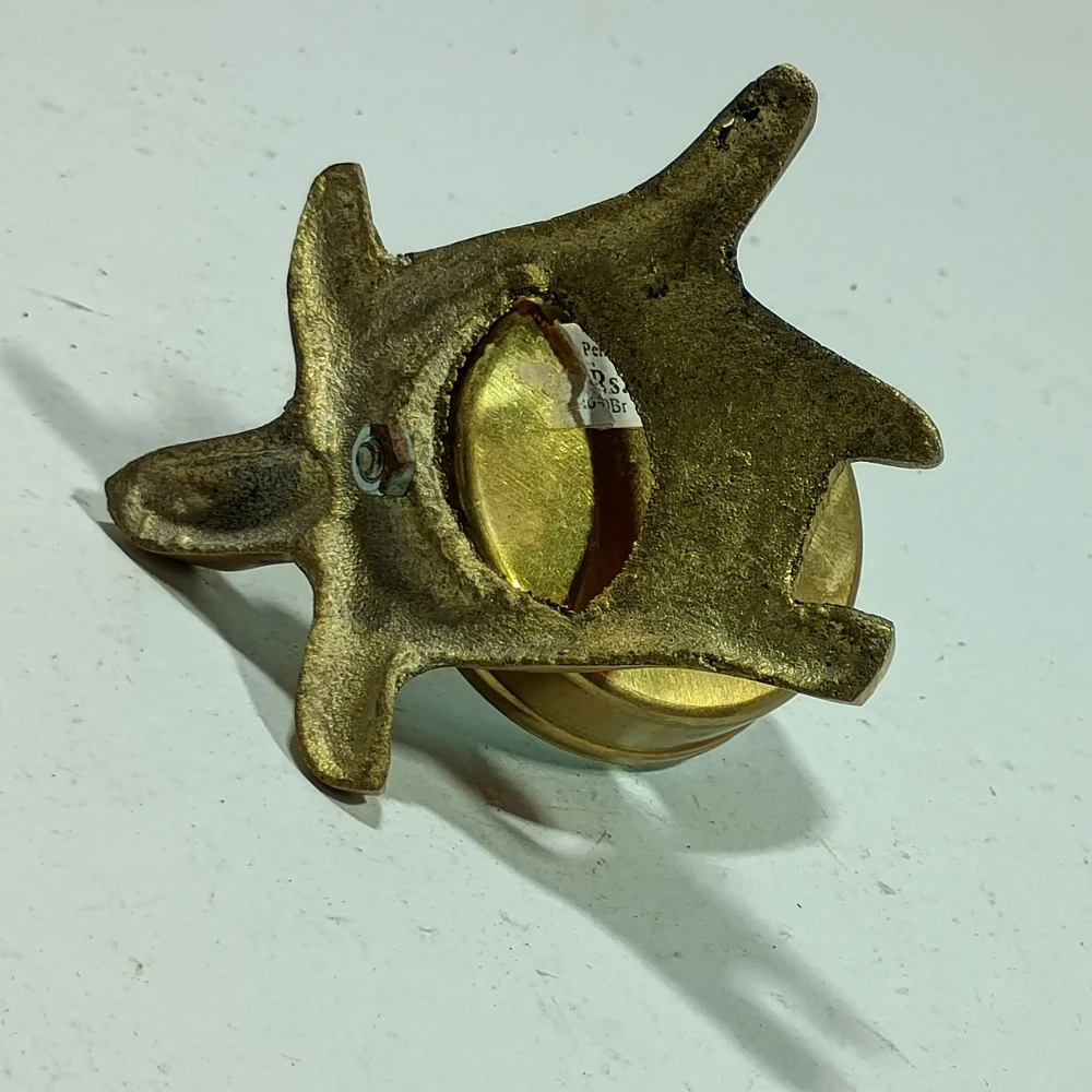 Tortoise with manify glass-3.5No-Z06305