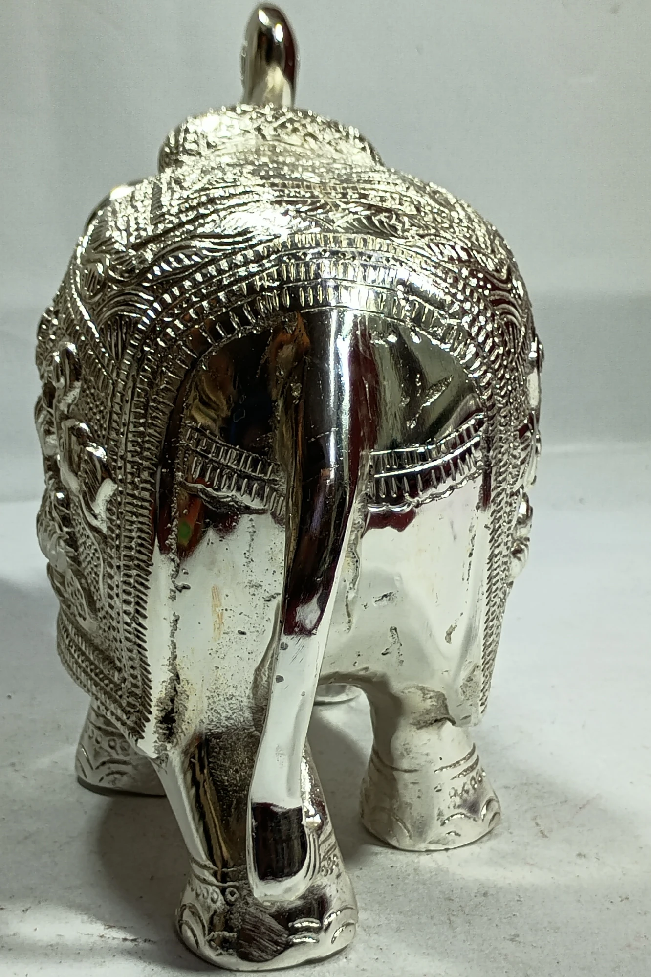 Elephant-8No-Z12157