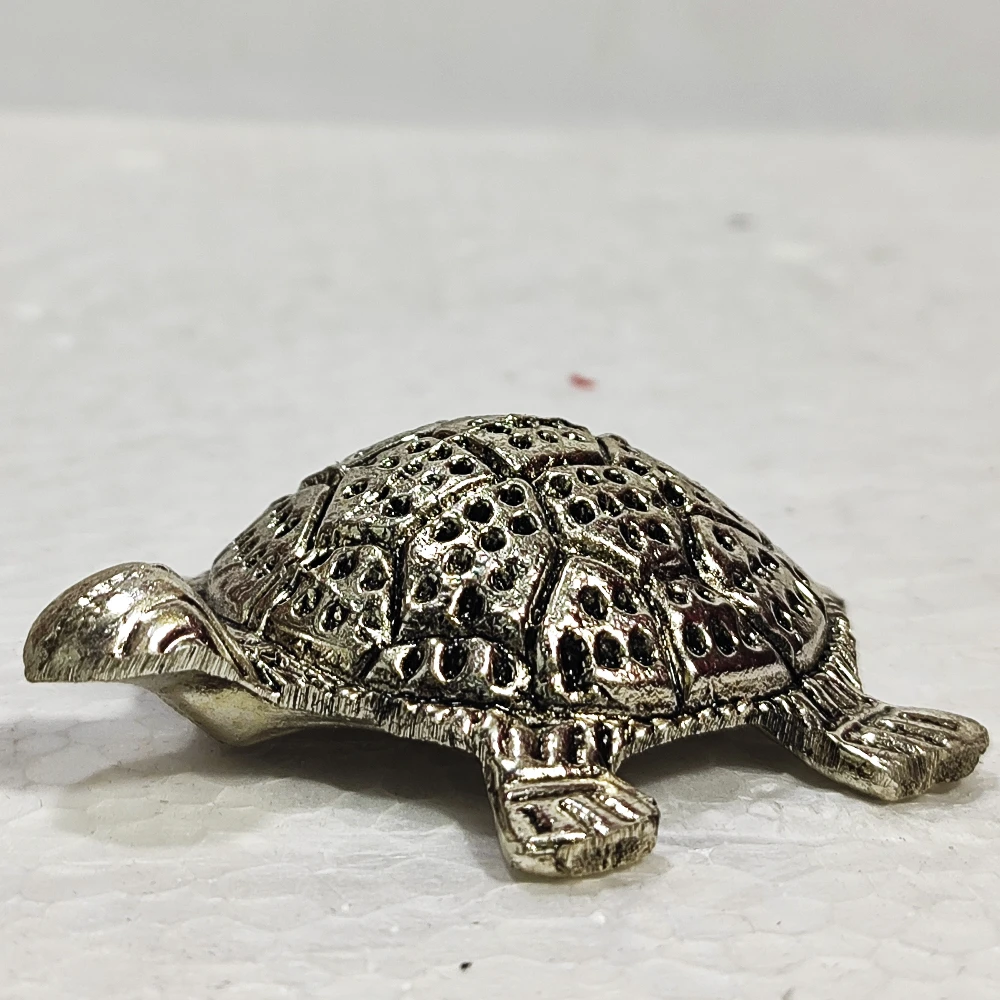 Tortoise-3.5No-Z00363