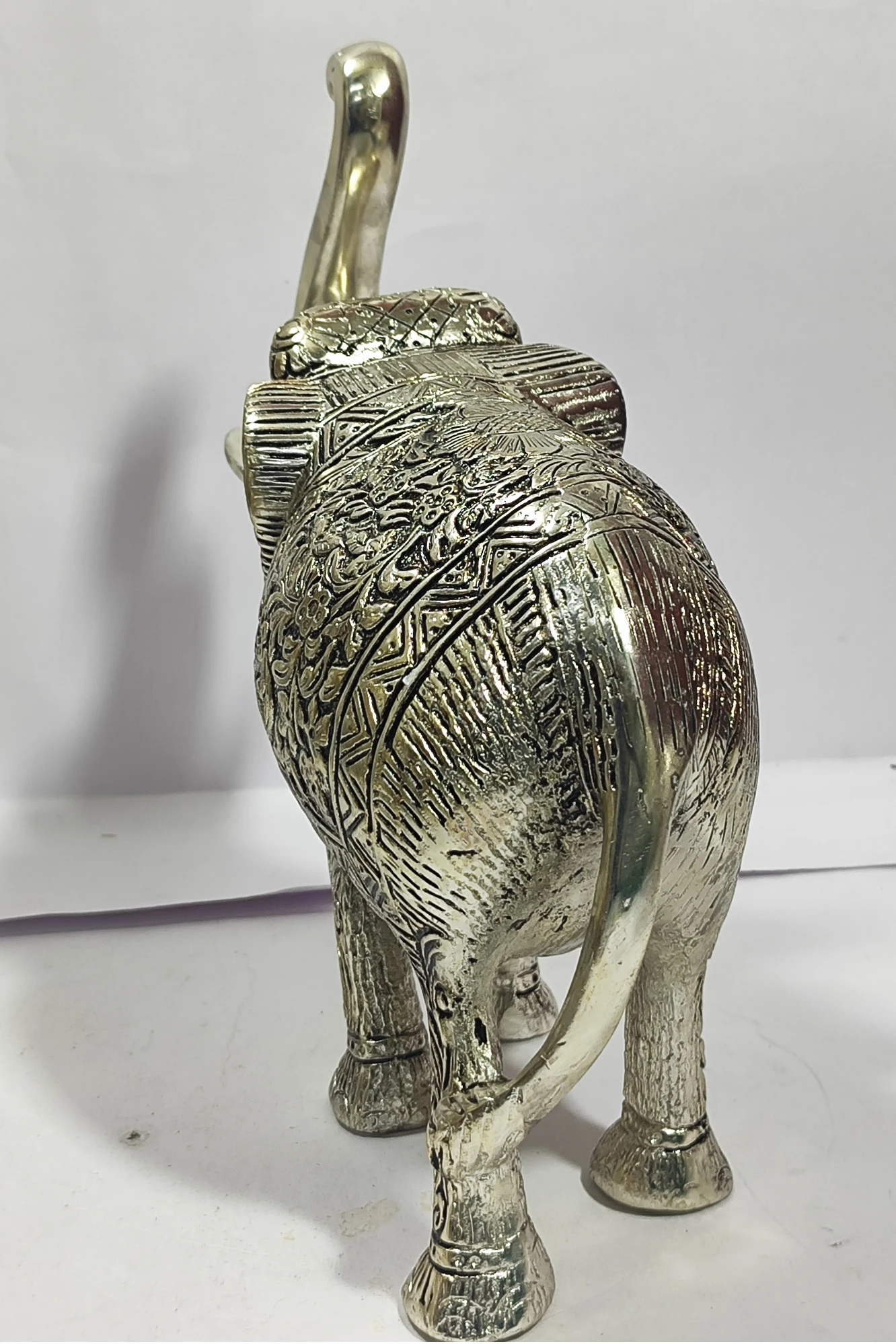 Elephant-11No-Z05341