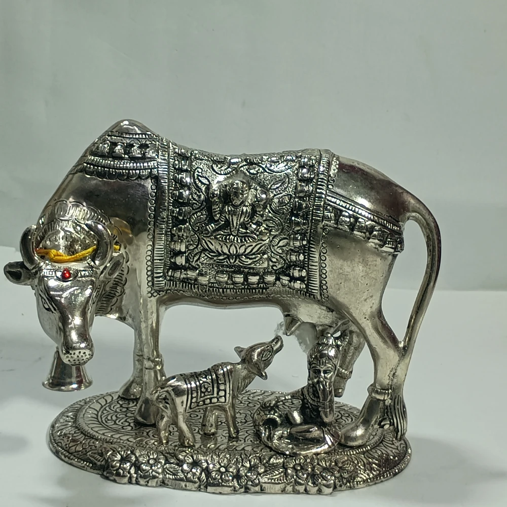 CowCalf-6.5No-Z12474