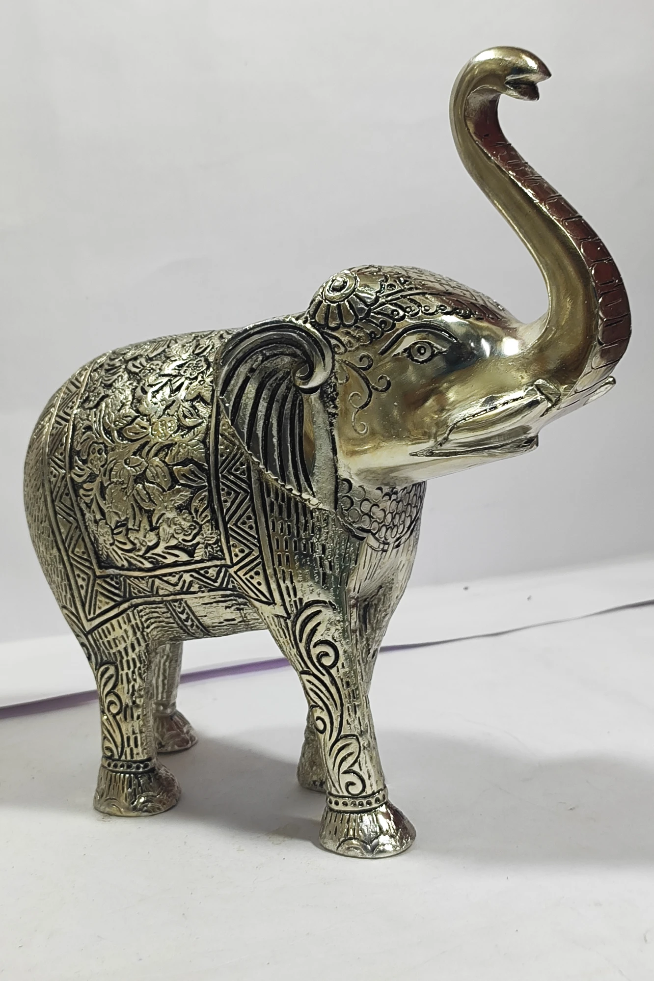 Elephant-11No-Z05341