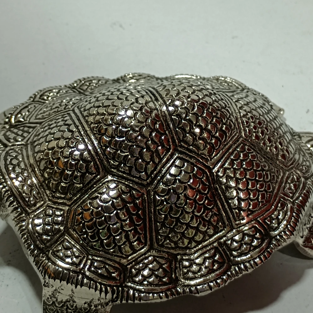 Tortoise-5No-Z11366