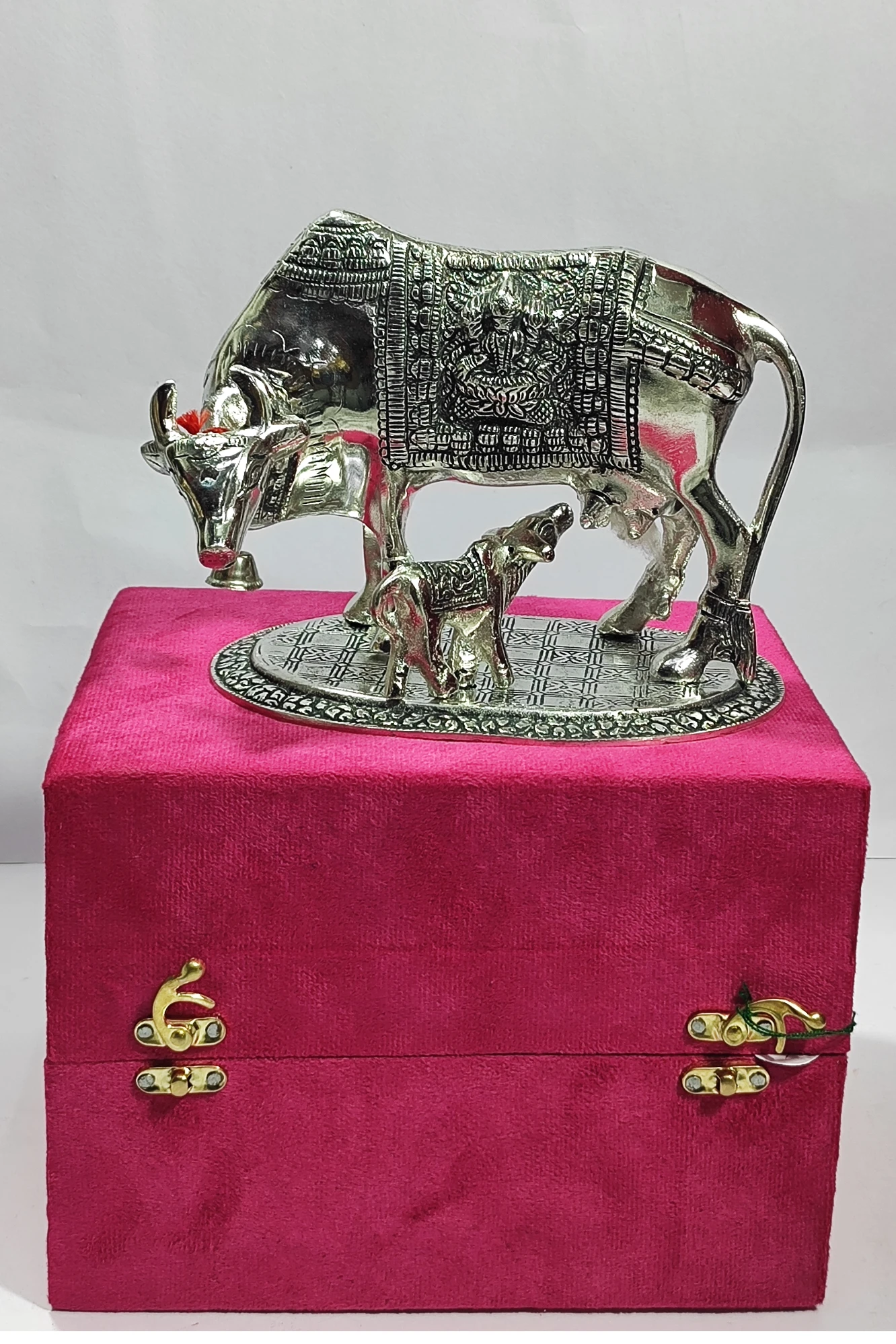 CowCalf-7.5No-Z04469