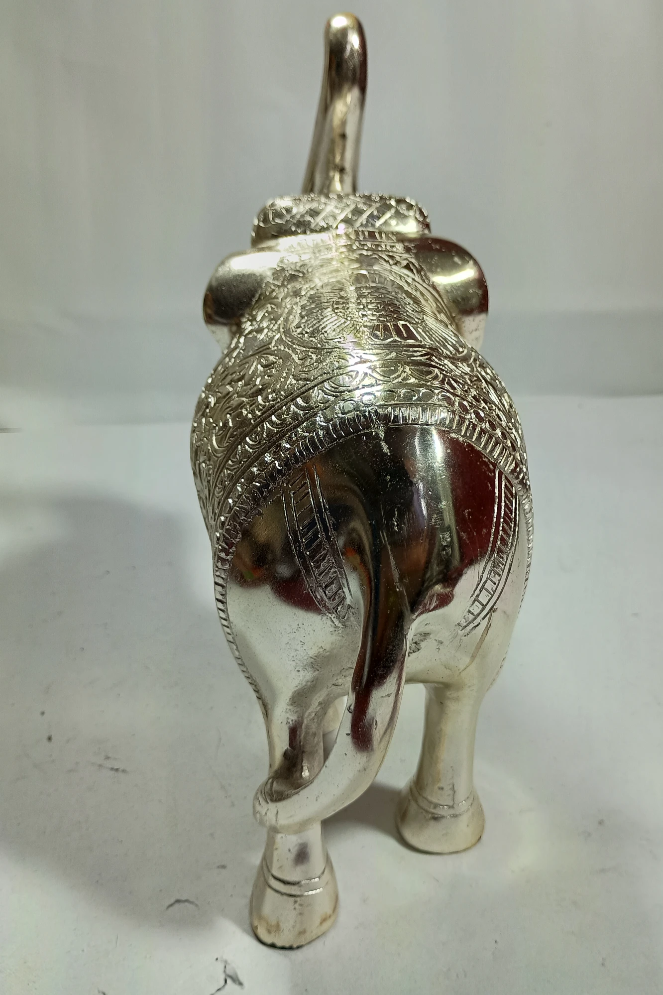 Elephant-11No-Z12158