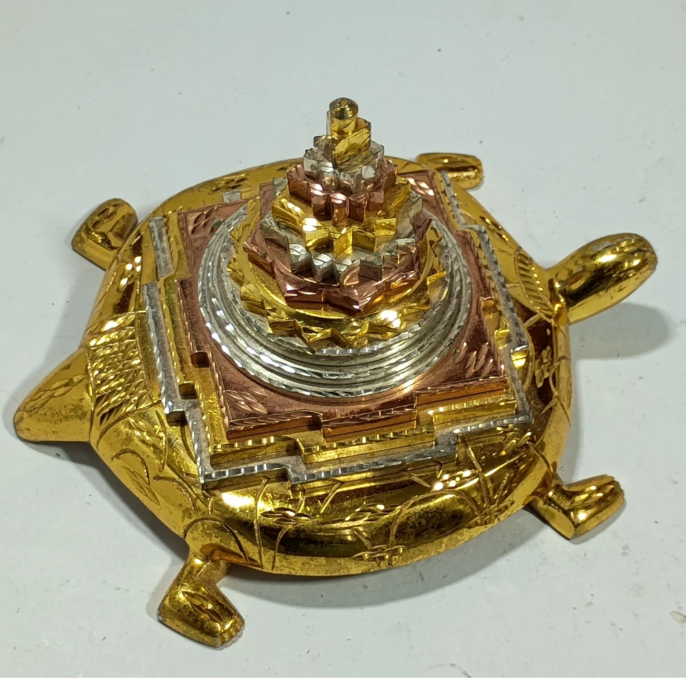 Tortoise with Meru-4.5No-Z07383