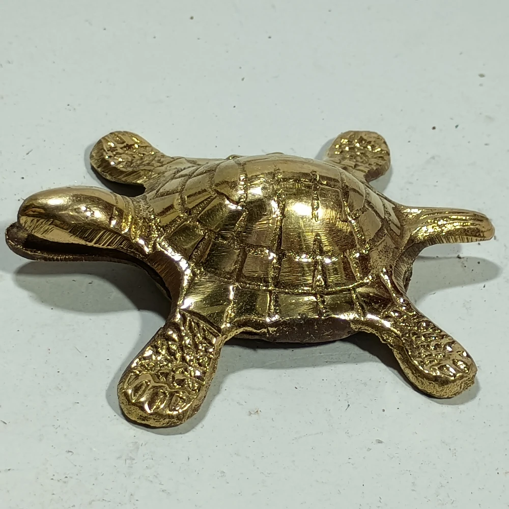 Tortoise-1.5No-Z07769