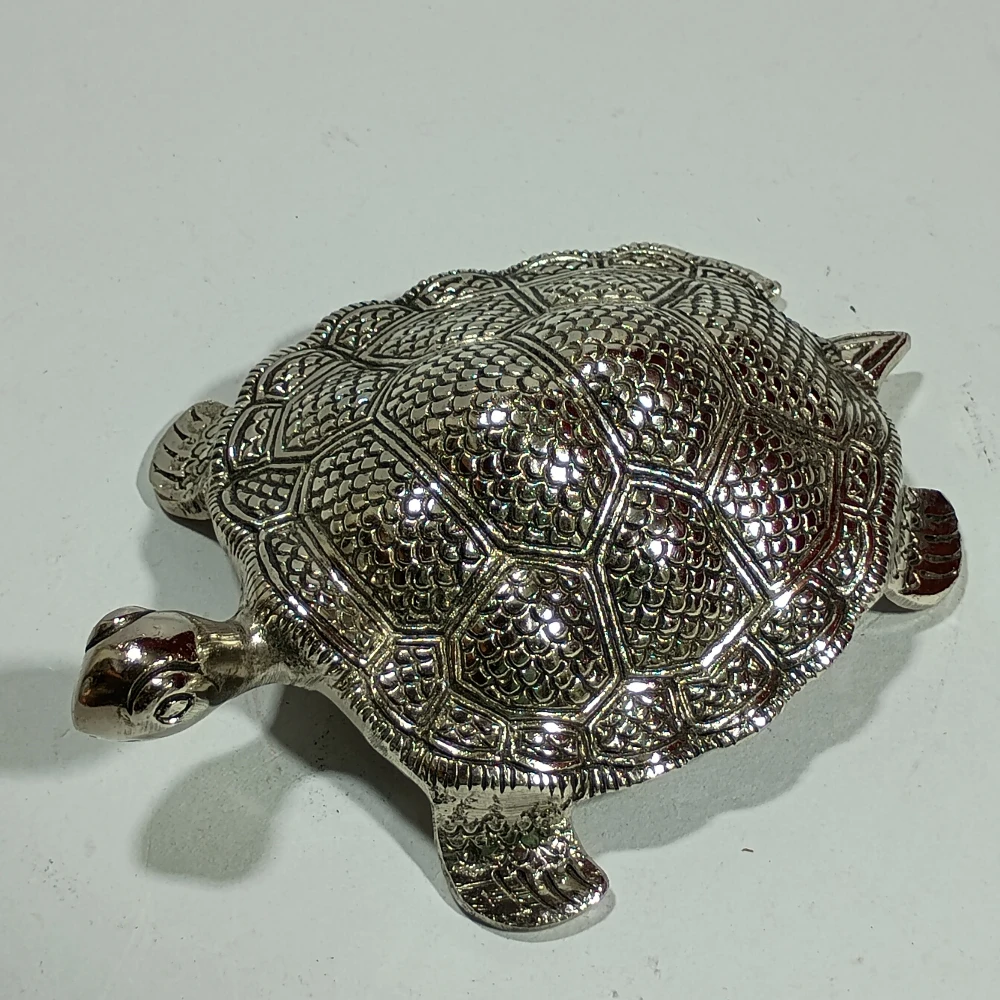 Tortoise-5No-Z11366