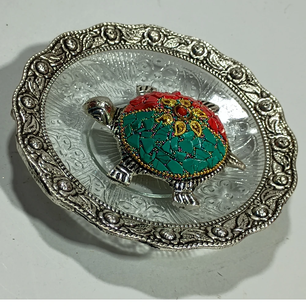 Tortoise with plate-5.5No-Z08057