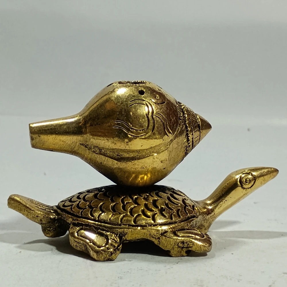 Agardan with tortoise-2.5No-Z11466