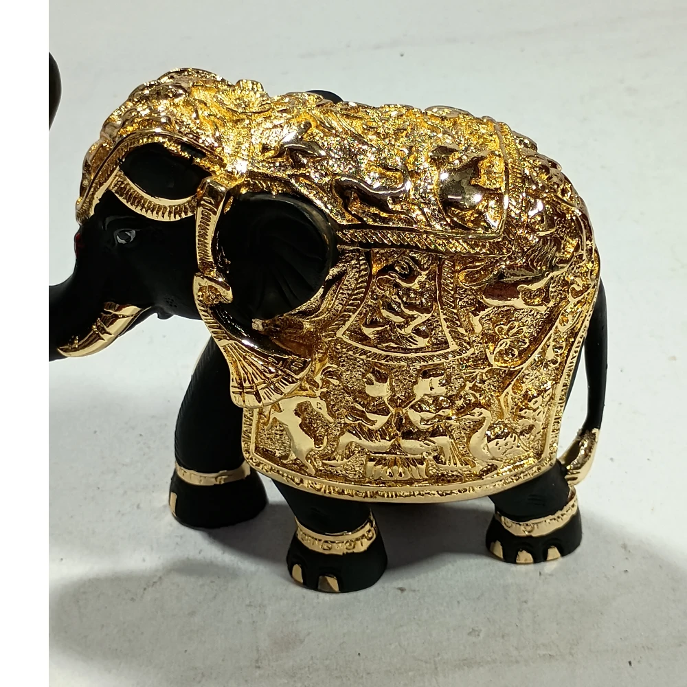 Elephant-5.5No-Z10914
