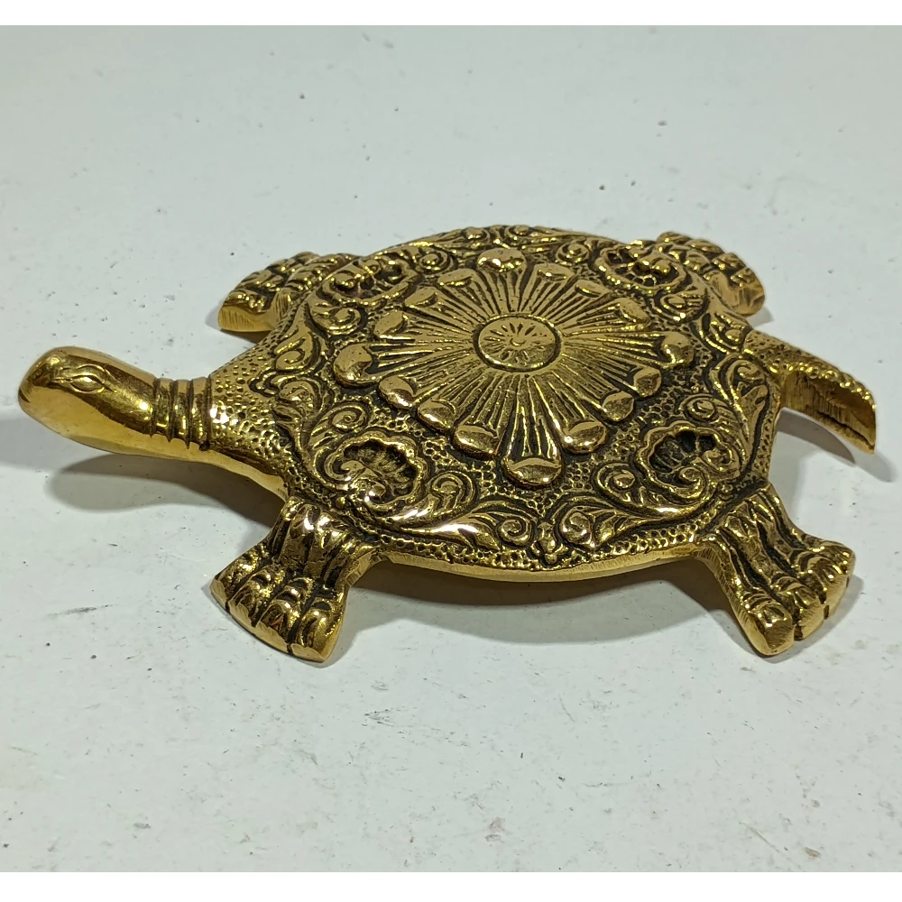 Tortoise-5.5No-Z11457