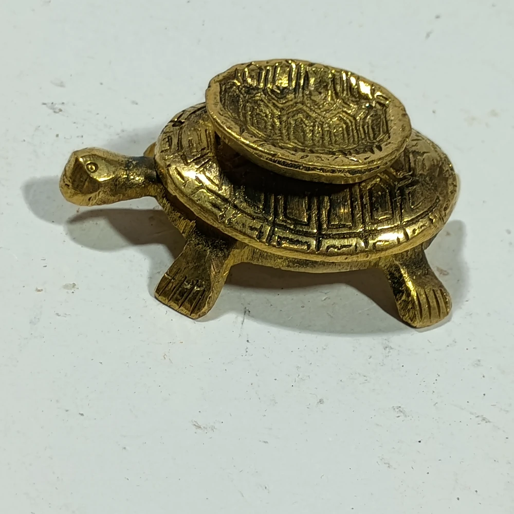 Tortoise-2No-Z11465