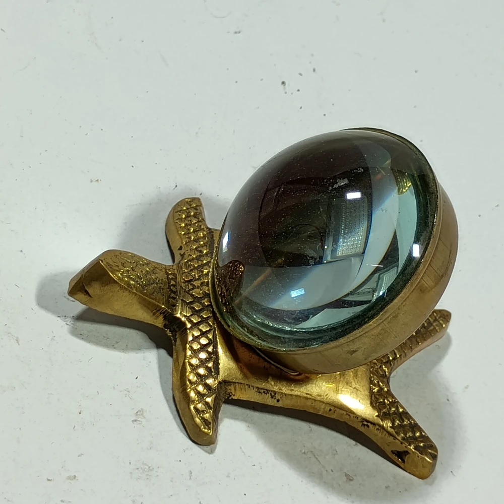 Tortoise with manify glass-3.5No-Z06305