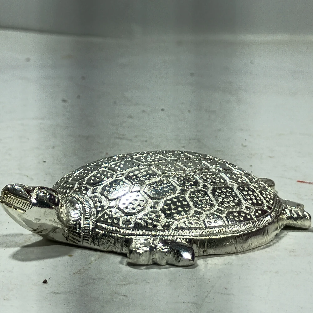 Tortoise-4No-Z12283