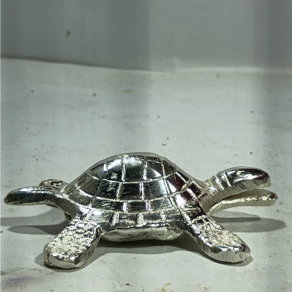 Tortoise-4No-Z12284