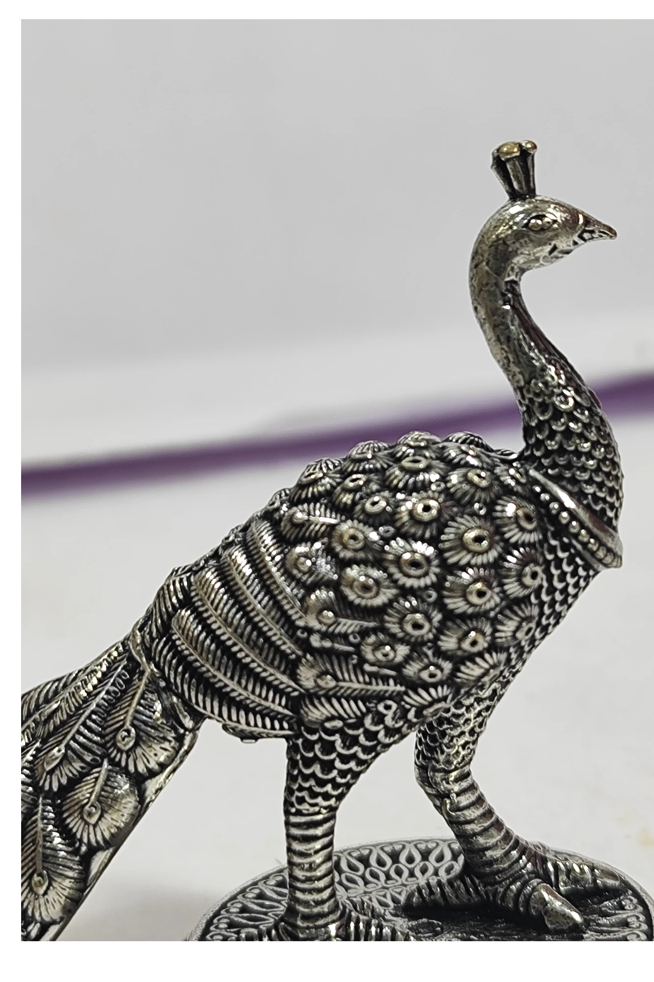 Peacock-3No-Z12920