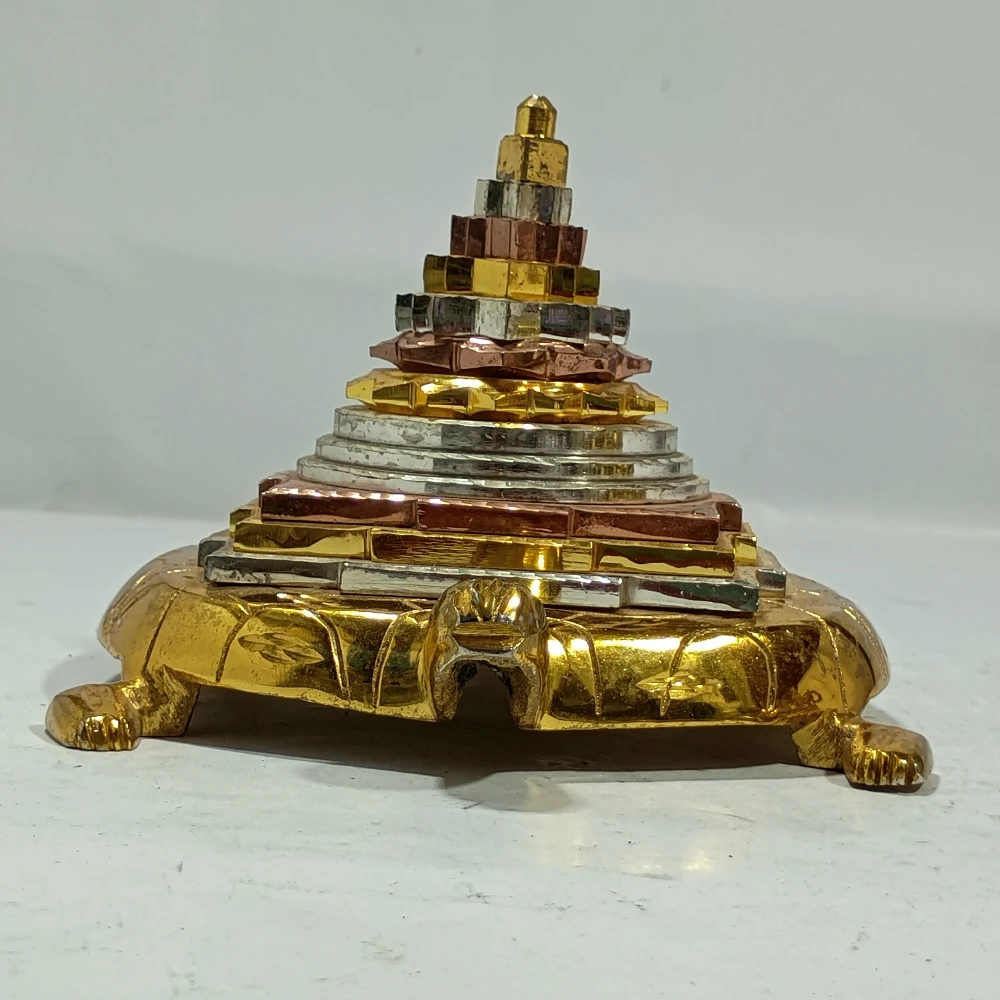 Tortoise with Meru-4.5No-Z07383