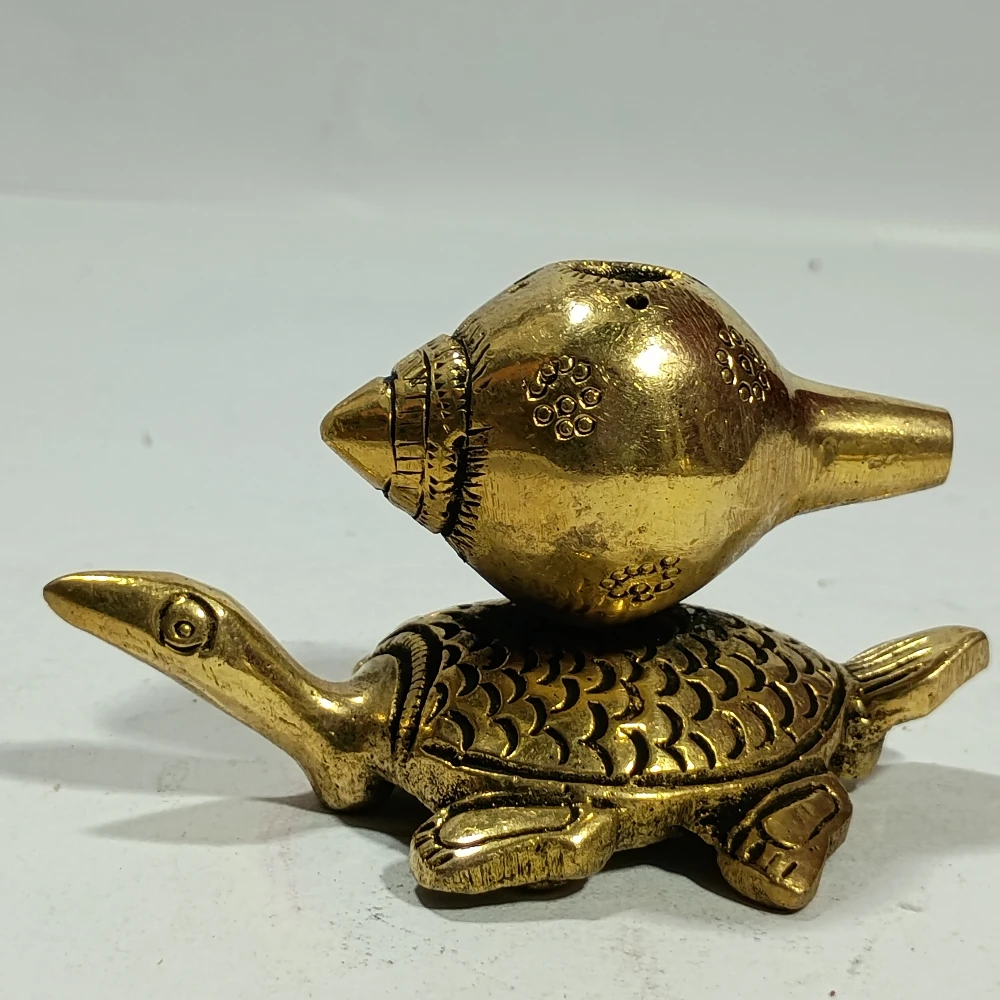 Agardan with tortoise-2.5No-Z11466