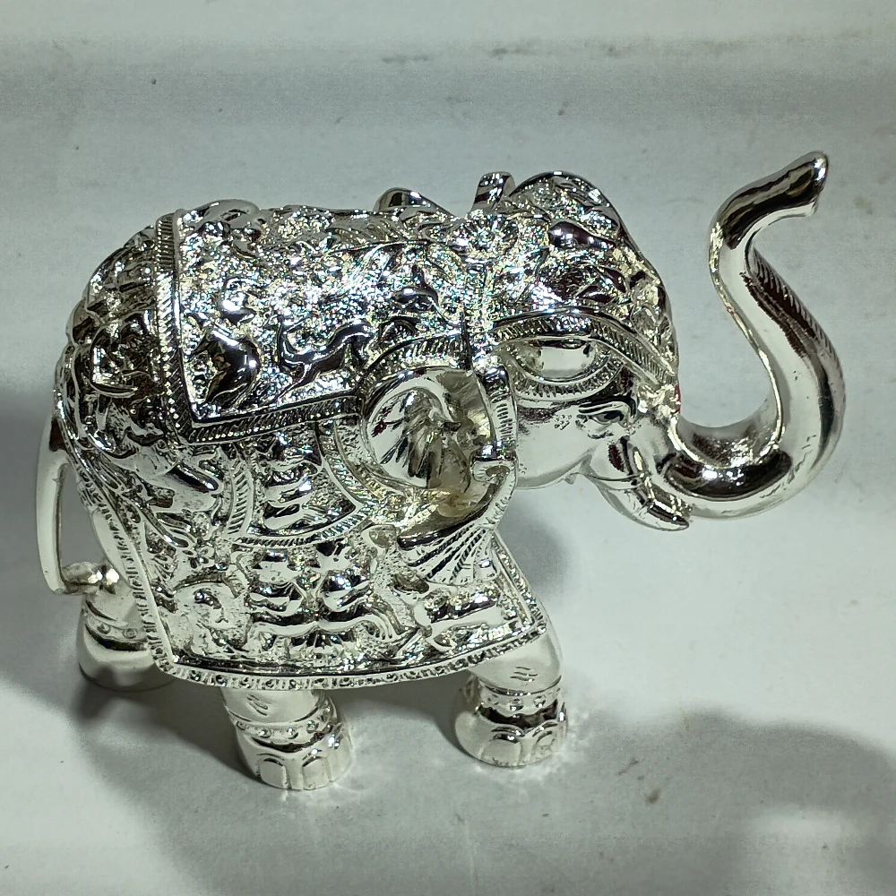 Elephant-6No-Z04979