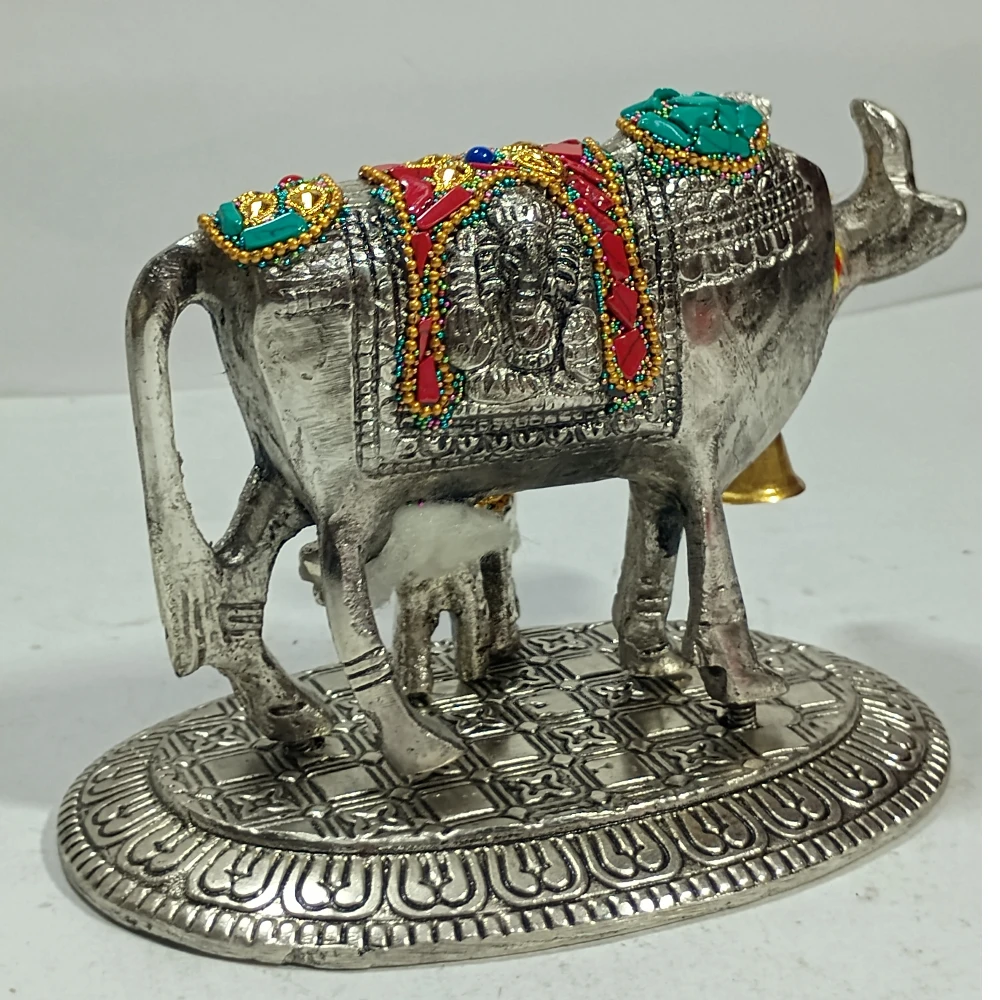 Cow Claf-5.5No-Z11539